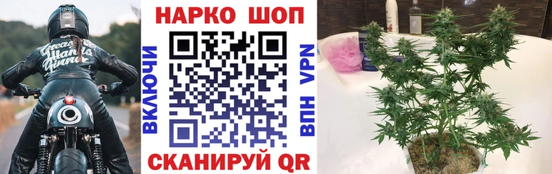 Наркотические вещества Выкса ГАШИШ Псилоцибиновые грибы АМФ Марихуана Кокаин Меф Альфа ПВП