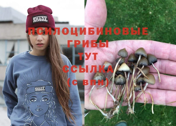 бошки Алексеевка