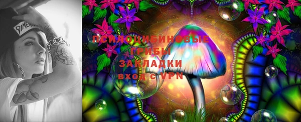 бошки Алексеевка